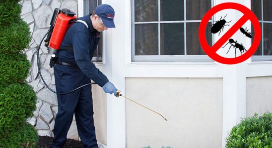 Sorgun Dezenfeksiyon böcek ilaçlama ve haşere kontrolü — ilaclama-tr.com